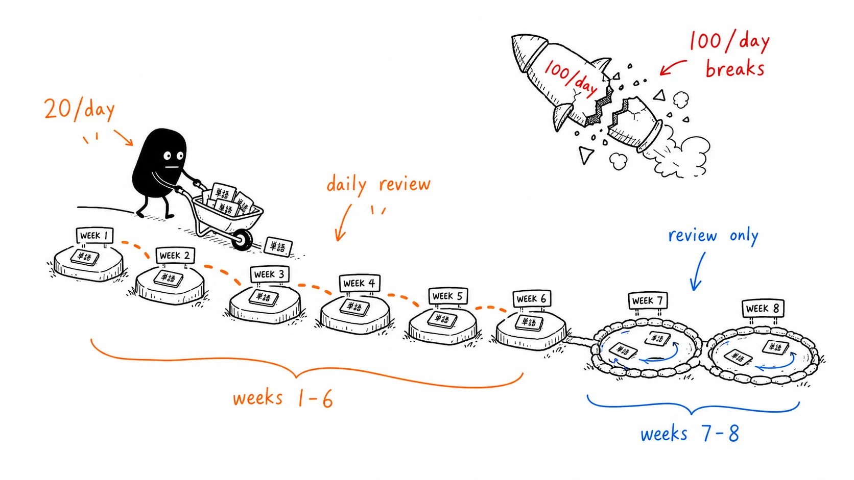 A sustainable 8-week JLPT N5 plan uses 20 words a day and review-only weeks
